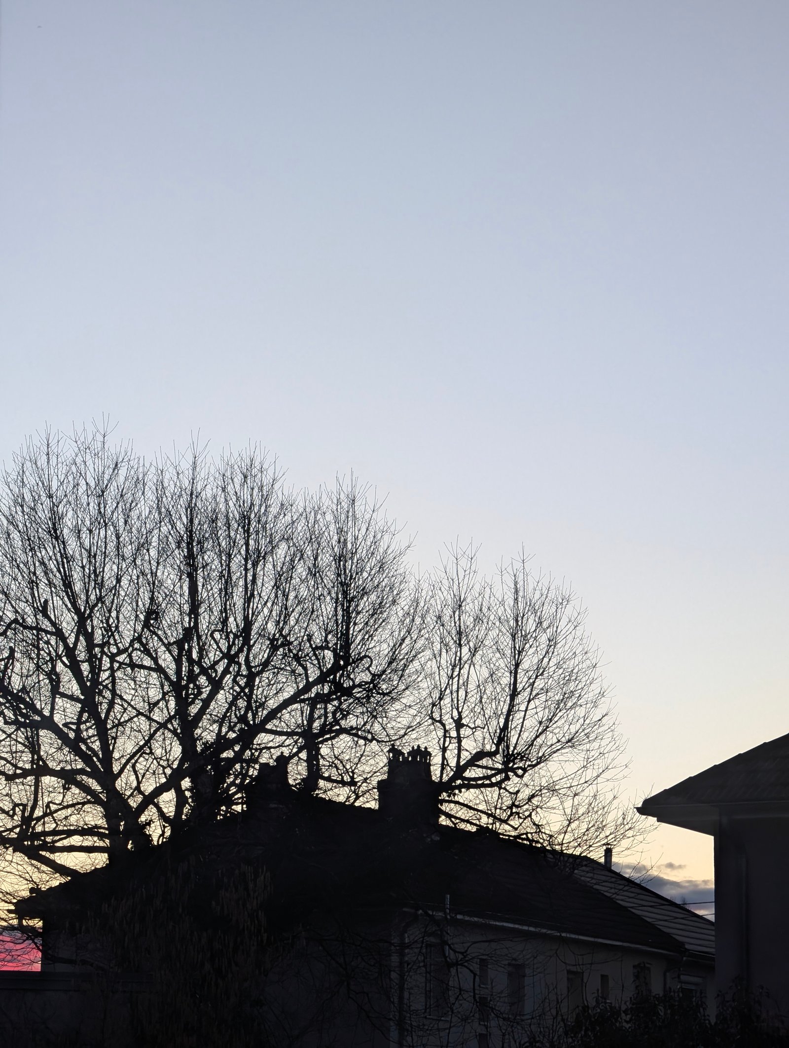 Paysages 